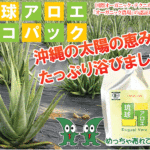 アロエジュース「琉球アロエ」 1000ml - 糖サポ市場