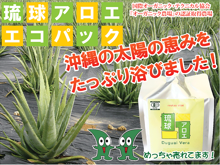 アロエジュース「琉球アロエ」 1000ml 5本セット - 糖サポ市場