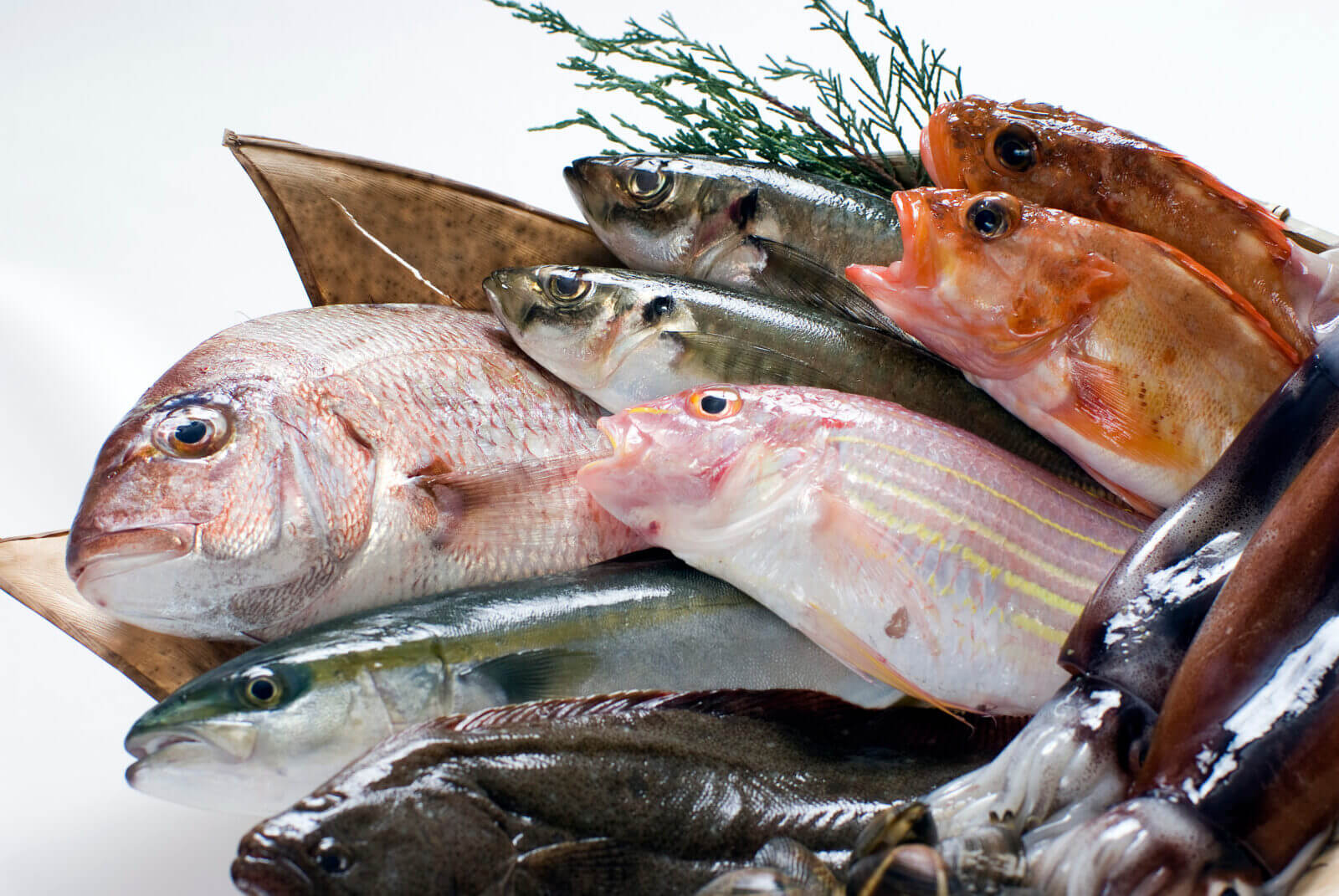お魚は「低糖質」だから、糖質制限に最適って本当？ 