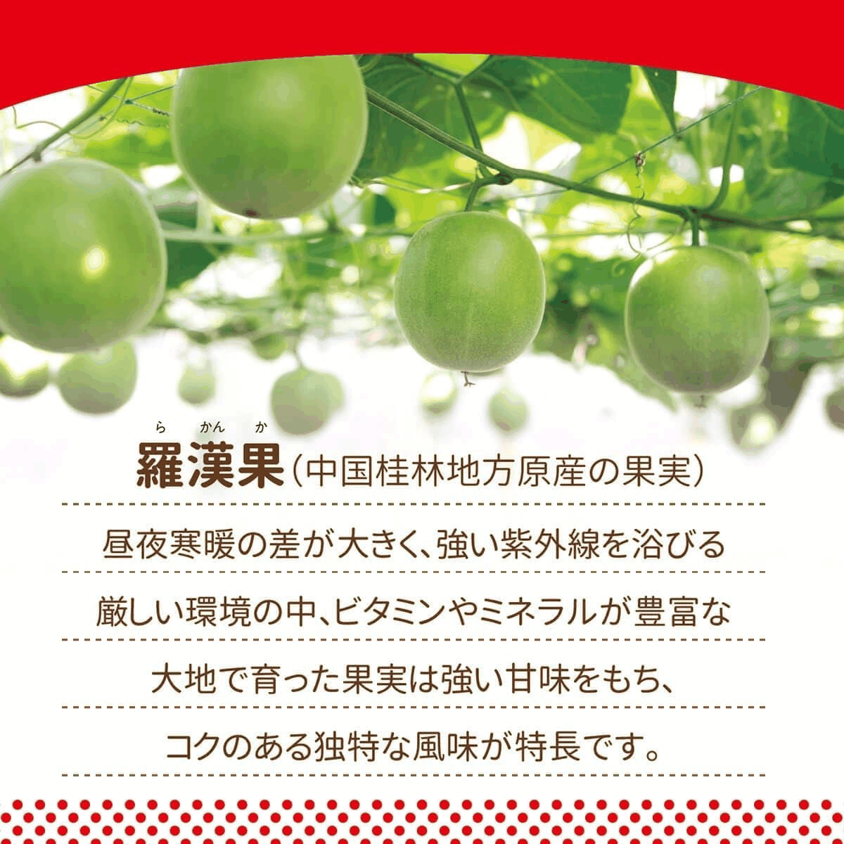 サラヤ ラカントS 顆粒 800g:羅漢果など原料の説明